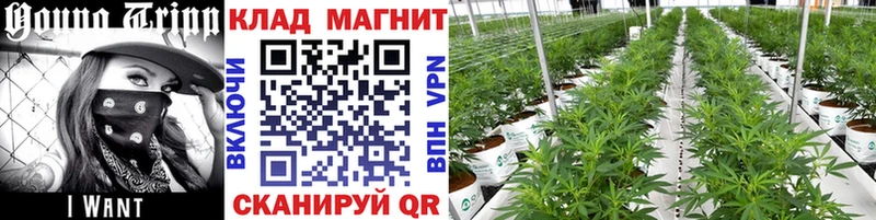 Названия наркотиков Юрьев-Польский MDMA  Галлюциногенные грибы  Меф мяу мяу  Амфетамин  ГАШИШ 