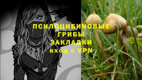 мяу мяу кристалл Нефтекумск
